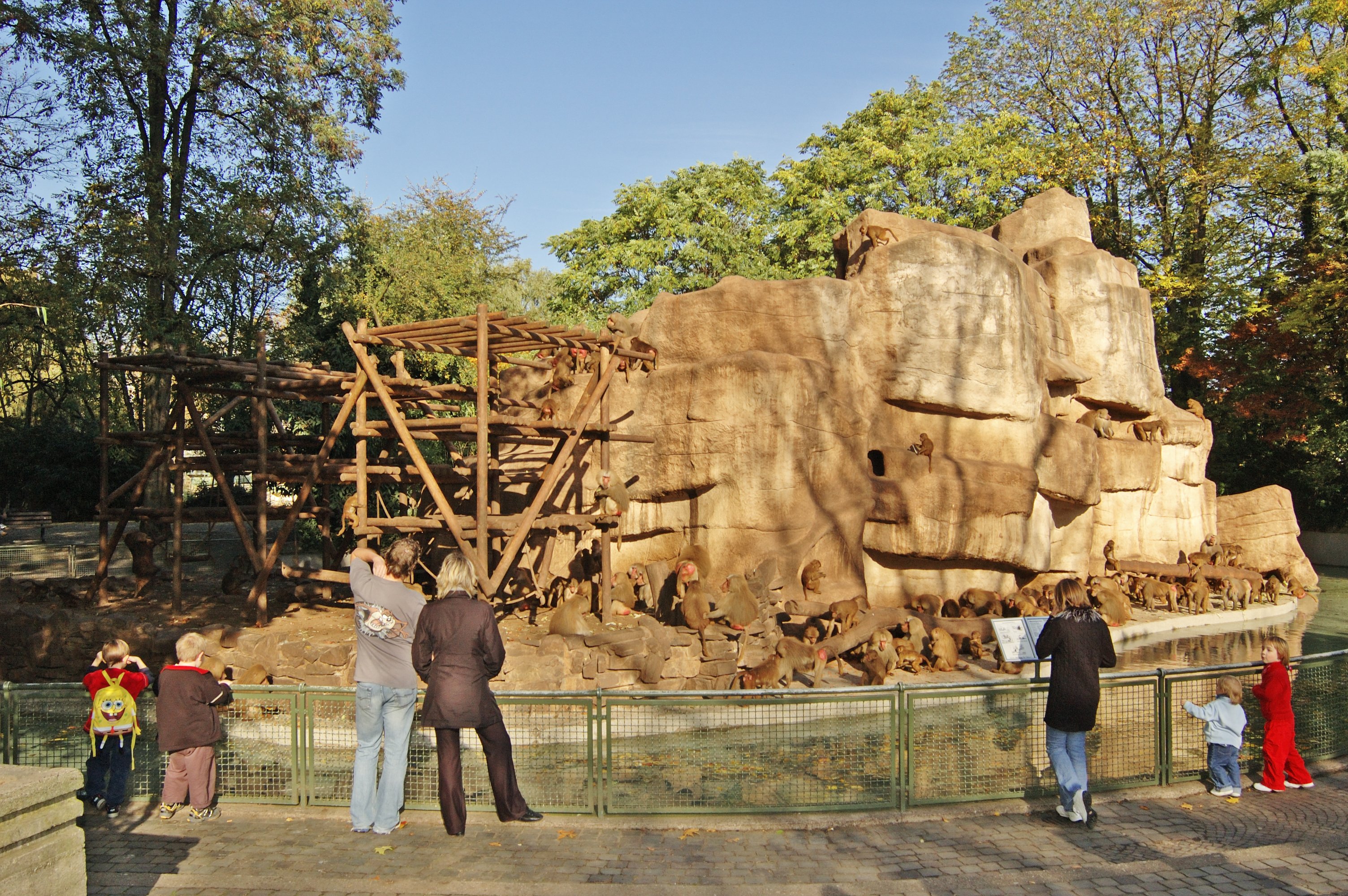 Affen im Kölner Zoo